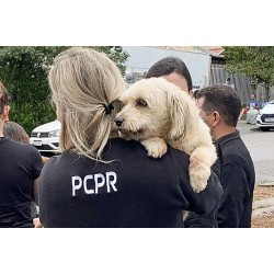 Polícia Civil do Paraná orienta sobre como denunciar maus-tratos a animais